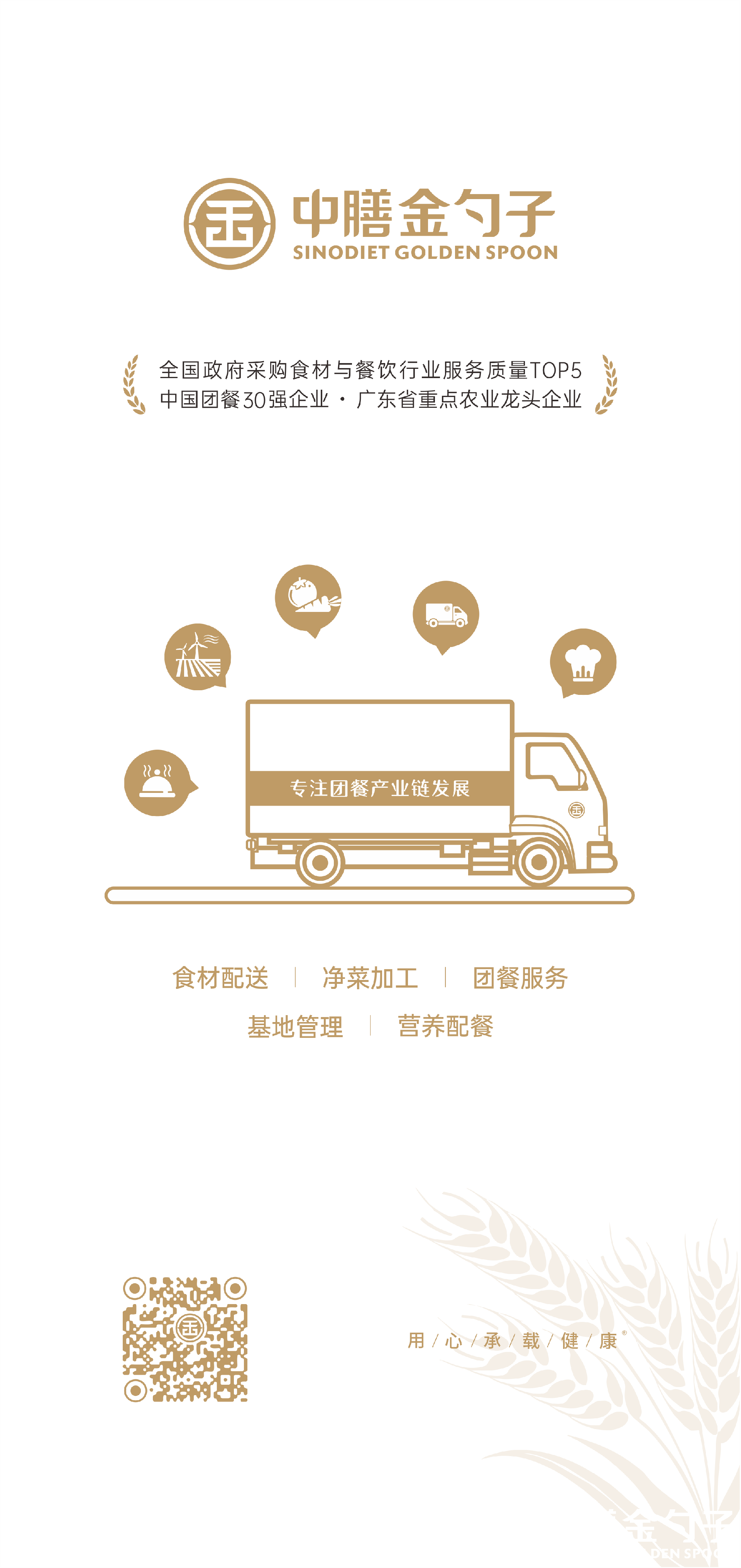 金彩汇集团.png