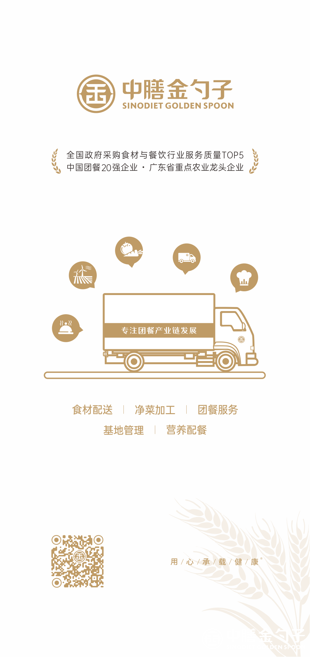 金彩汇集团.png